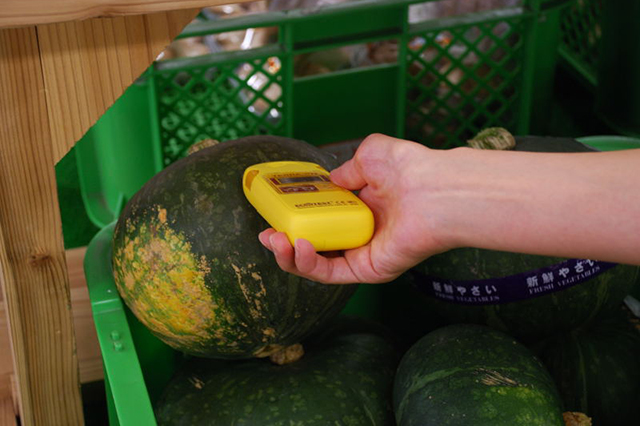 野菜の放射能測定